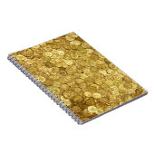 Collectie van oude goudmunten notitieboek (Rechterzijde)