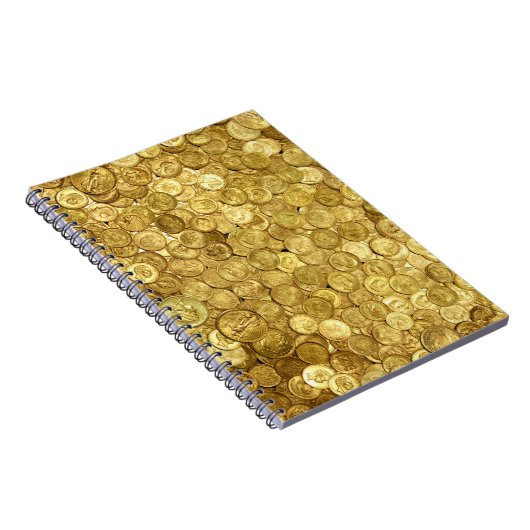 Collectie van oude goudmunten notitieboek (Rechterzijde)