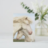 Collectie van paarden briefkaart (Staand voorkant)