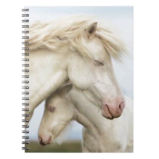 Collectie van paarden notitieboek (Voorkant)
