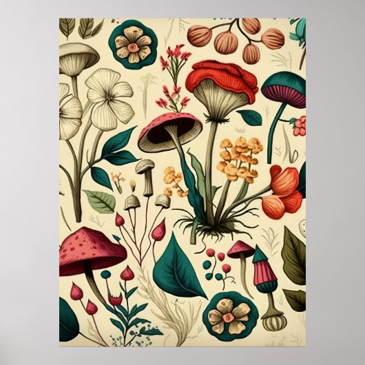 Collectie van paddenstoelen Planten Poster (Voorkant)