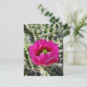 Collectie van rode egel briefkaart (Staand voorkant)