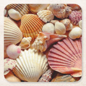 Collectie van schelpen Scallops Clams en Conch Kartonnen Onderzetters (Voorkant)