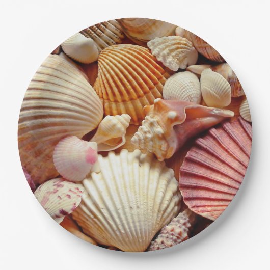 Collectie van schelpen Scallops Clams en Conch Papieren Bordje (Voorkant)