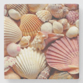 Collectie van schelpen Scallops Clams en Conch Stenen Onderzetter (Voorkant)