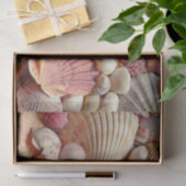 Collectie van schelpen Scallops Clams en Conch Tissuepapier (Geschenk)