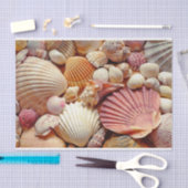 Collectie van schelpen Scallops Clams en Conch Tissuepapier (Craft)