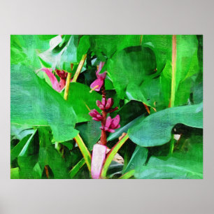 Collectie van Tropisch Roze velvet banana Poster