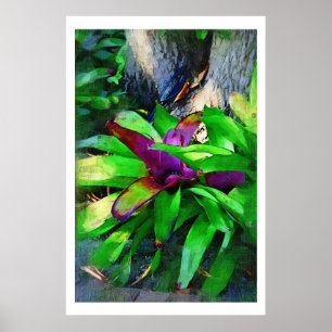 Collectie van Tropische Bromeliads olieverf Poster