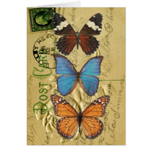 Collectie van vlinder