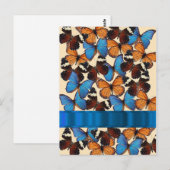 Collectie van vlinder briefkaart (Voorkant / Achterkant)