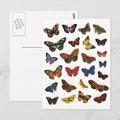 Collectie van vlinder briefkaart (Voorkant / Achterkant)