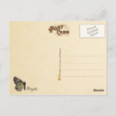 Collectie van vlinder briefkaart (Achterkant)