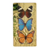 Collectie van vlinder etiket (Voorkant)