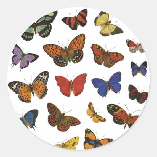 Collectie van vlinder ronde sticker (Voorkant)