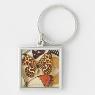 Collectie van vlinder sleutelhanger