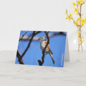 Collectie van vogel: Titelmuis (blanco noten) Kaart (Gele Bloem)