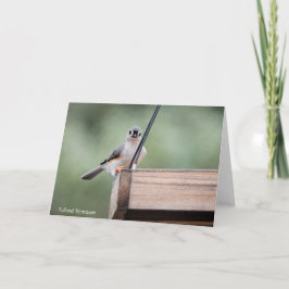 Collectie van vogel: Titelmuis (blanco noten) Kaart