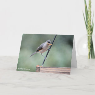 Collectie van vogel: Titelmuis (blanco noten) Kaart