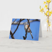 Collectie van vogel: Titelmuis (blanco noten) Kaart (Gele Bloem)