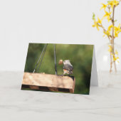 Collectie van vogel: Titelmuis (blanco noten) Kaart (Gele Bloem)