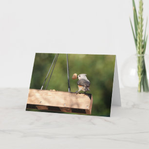 Collectie van vogel: Titelmuis (blanco noten) Kaart