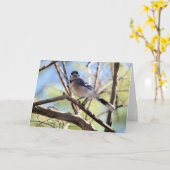 Collectie van vogels: Blue Jay (blanco noten) Kaart (Gele Bloem)