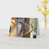Collectie van vogels: Blue Jay (blanco noten) Kaart (Gele Bloem)