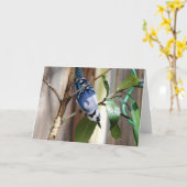 Collectie van vogels: Blue Jay (blanco noten) Kaart (Gele Bloem)
