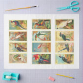 Collectie van vogels  debetpapier tissuepapier (Craft)