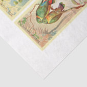 Collectie van vogels  debetpapier tissuepapier (Detail)