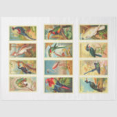 Collectie van vogels debetpapier tissuepapier (Voorkant)