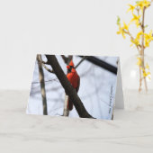 Collectie van vogels: noordelijke kardinaal (blanc kaart (Gele Bloem)