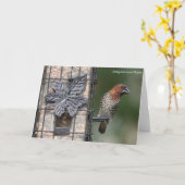Collectie van vogels: Spice Finch (blanco noten) Kaart (Gele Bloem)