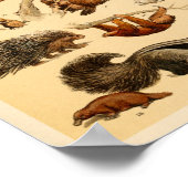 Collectie van wilde dieren Lion Tiger Rabbit Print (Hoek)