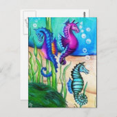 Collectie van zee paarden briefkaart (Voorkant / Achterkant)