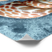 Collectie van zeeschelpen poster (Hoek)