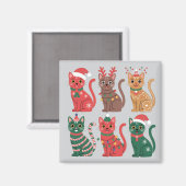 collectie van zes katten magneet (Voorkant / Achterkant)