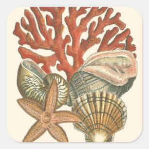 Collectie Vierkante Sticker