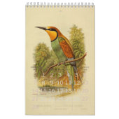 Collectie  vogelillustratie kalender (Feb 2027)