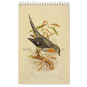 Collectie  vogelillustratie kalender (Jan 2027)