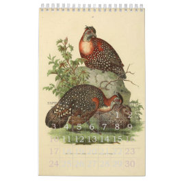 Collectie  vogelillustratie kalender