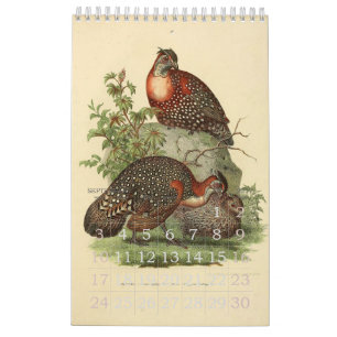 Collectie  vogelillustratie kalender
