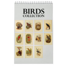 Collectie  vogelillustratie