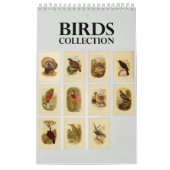 Collectie  vogelillustratie kalender (Hoes)