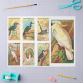 Collectie vogels Cockatau 1  ontkoppeling Tiss Tissuepapier (Craft)