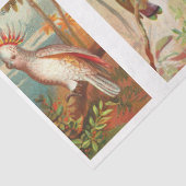 Collectie vogels Cockatau 1  ontkoppeling Tiss Tissuepapier (Detail)