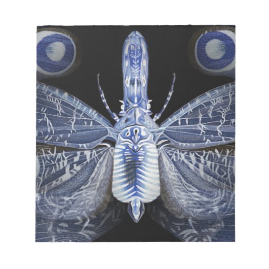 Collectie voor bestrating - röntgenfoto's notitieblok (Voorkant)