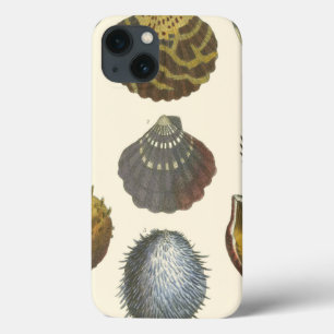 Collectie voor conchologie iPhone 13 hoesje