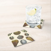 Collectie voor conchologie kartonnen onderzetters (Insitu)